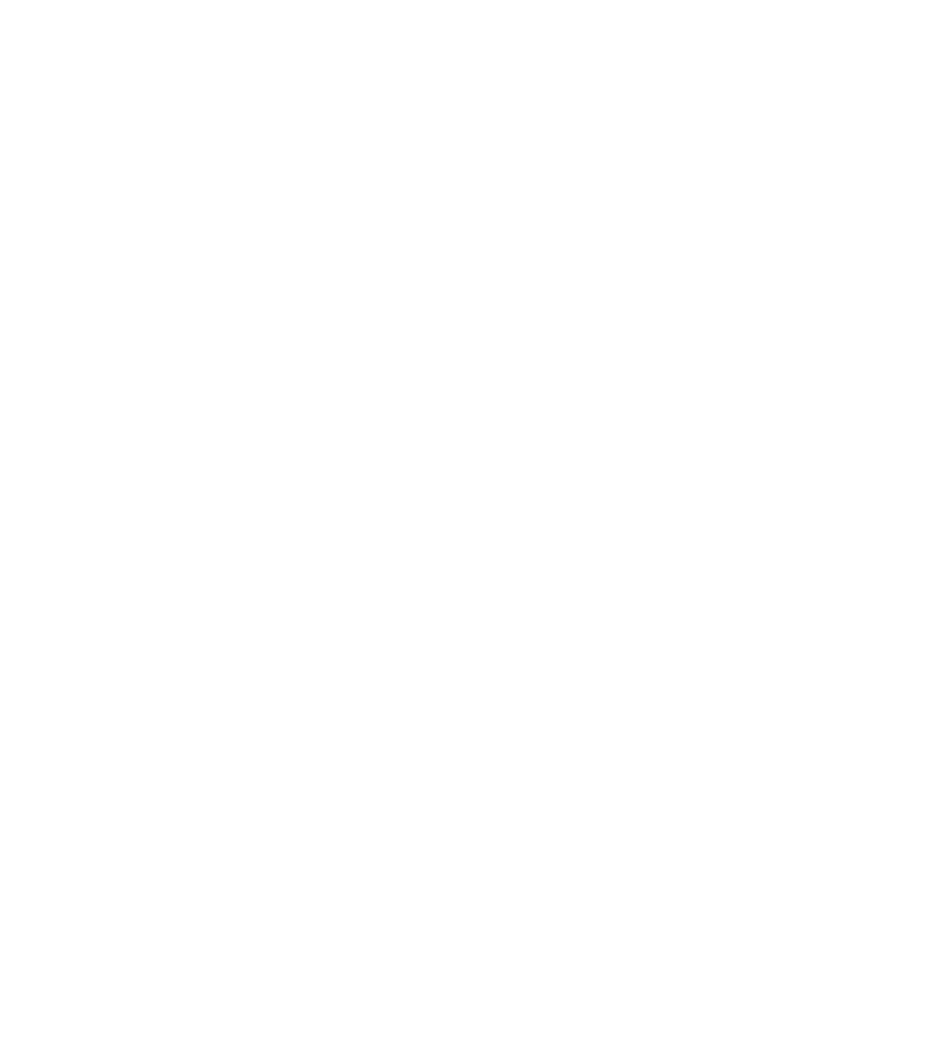 RIMSTEIN